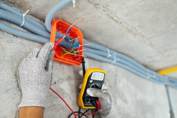 Best Licensed Electrician  in Bradford, TN